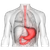 A detailed description of the image
