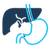 A detailed description of the image
